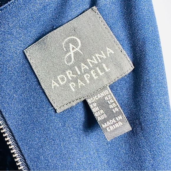 NWT Adrianna Papell Women’s Sz 10 Blue Sheer Shimmer Velvety Long Sleeve Dress - Picture 5 of 8